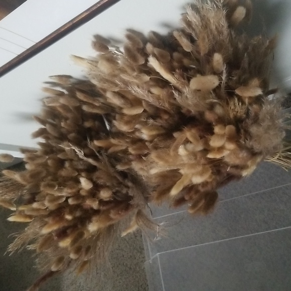 Large bunches of Pampas. - Picture 4 of 4